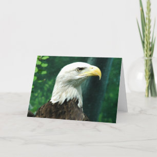 Liberty Card