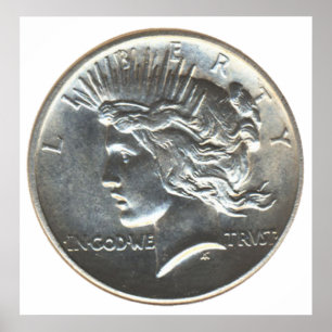 Liberty Dollar Poster