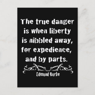 Liberty is Nibbled Away Postcard