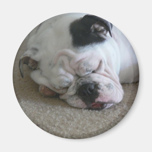 Liberty magnet (Front)