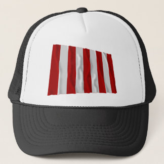 Liberty Tree Flag Trucker Hat