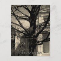 Library, Branford, Ct Postcard