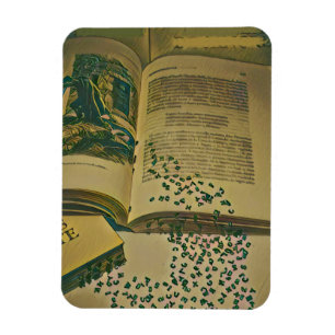 Library lover gift magnet