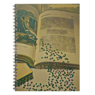 Library lover gift notebook