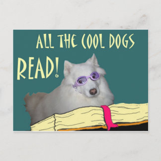 Library - Samoyed - Cool Dogs Read Literacy Postcard