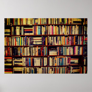 Library Shelves Poster