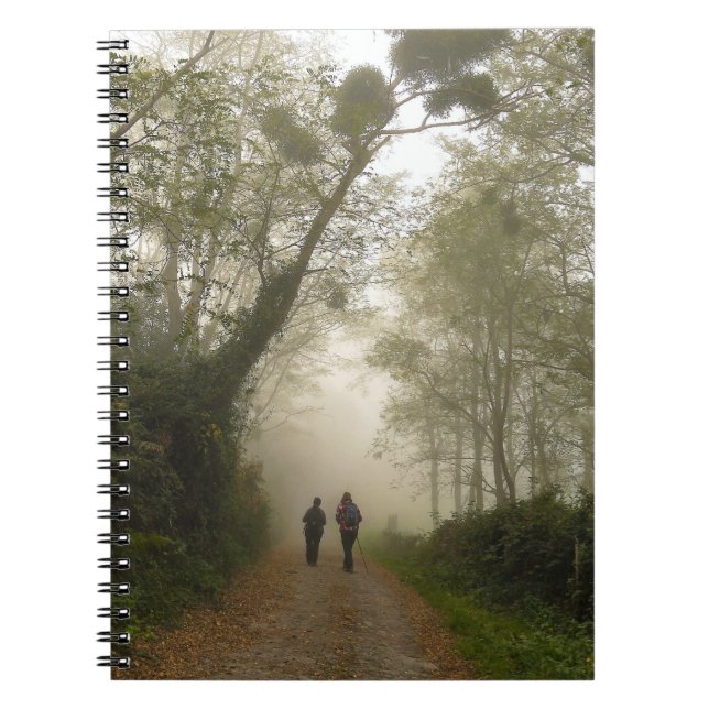 Libreta con espiral - Camino con muérdago Notebook (Front)