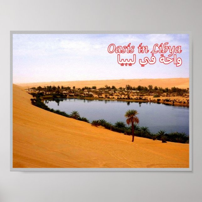 Libya - Oasis - Poster (Front)