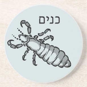 Lice Plague for Seder Coaster