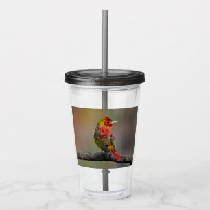 license acrylic tumbler