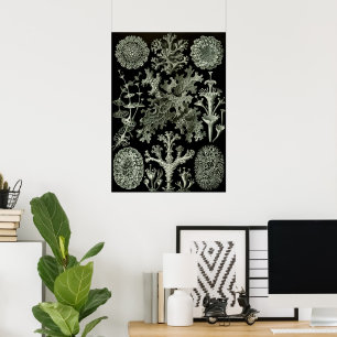 Lichen by Ernst Haeckel, Vintage Nature Plants Poster