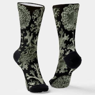 Lichen by Ernst Haeckel, Vintage Nature Plants Socks