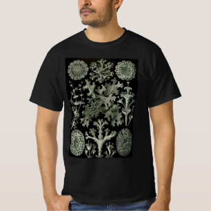 Lichen by Ernst Haeckel, Vintage Nature Plants T-Shirt
