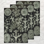 Lichen by Ernst Haeckel, Vintage Nature Plants Wrapping Paper Sheet<br><div class="desc">Vintage illustration botany nature design by Ernst Haeckel featuring a black and white design with a variety of lichen. Lichen is a plant that often forms in a low crustlike,  leaf shape or branching growth,  living on rocks,  walls,  and trees. A composite organism made up of fungus.</div>