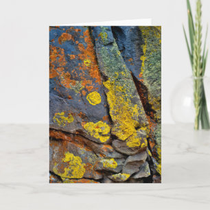 Lichen Covered Rocks Card