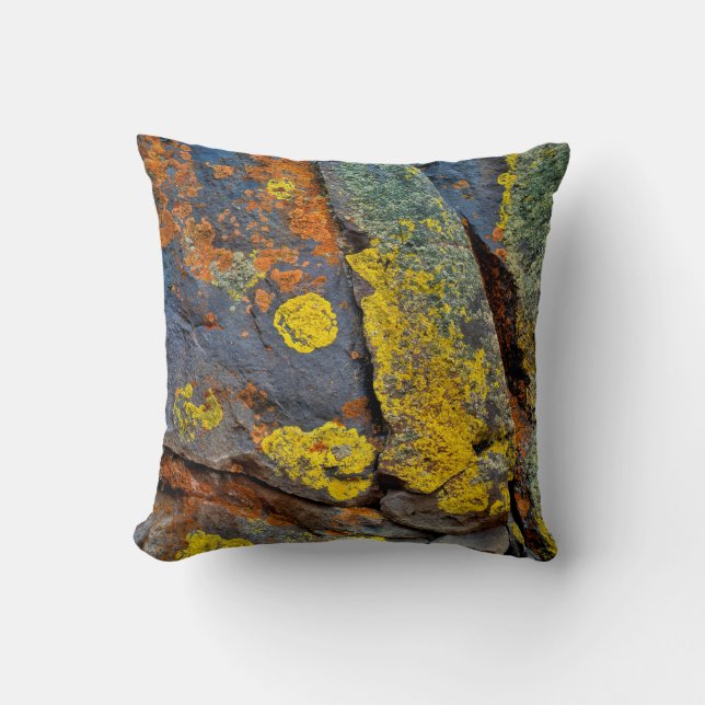Lichen Covered Rocks Cushion (Front)