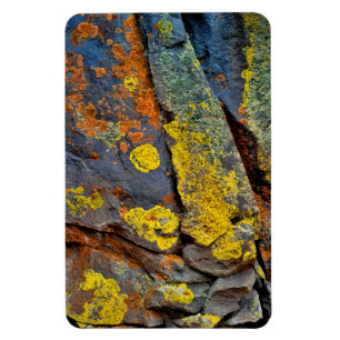 Lichen Covered Rocks Magnet
