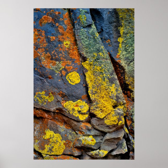 Lichen Covered Rocks Poster (Front)