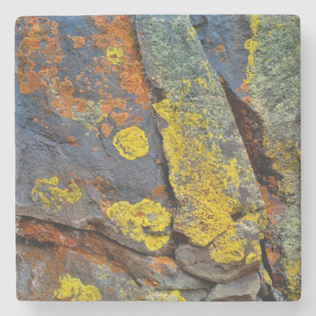 Lichen Covered Rocks Stone Coaster (Front)