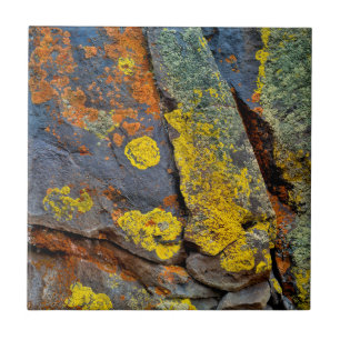 Lichen Covered Rocks Tile