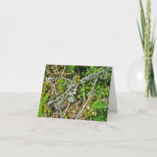 Lichen Garden Twig OBX Note Card