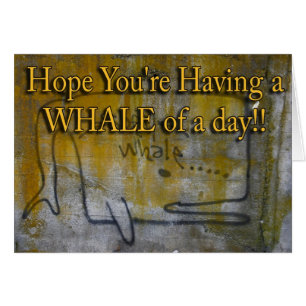 lichen grafitti whale card