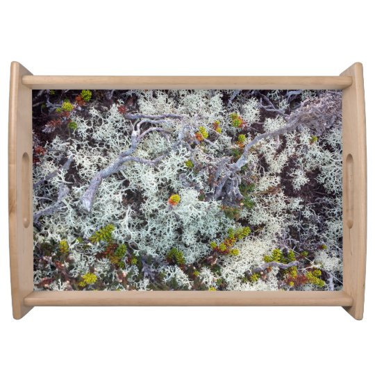 Lichen Large Serving Tray