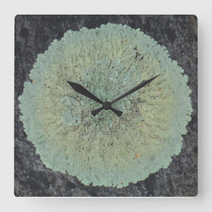 Lichen Mossy Circle Square Wall Clock