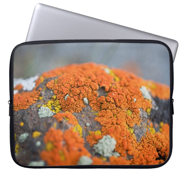 Lichen orange moss stone grey laptop sleeve (Front)