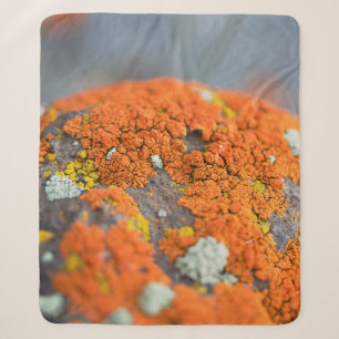Lichen orange moss stone grey sherpa blanket