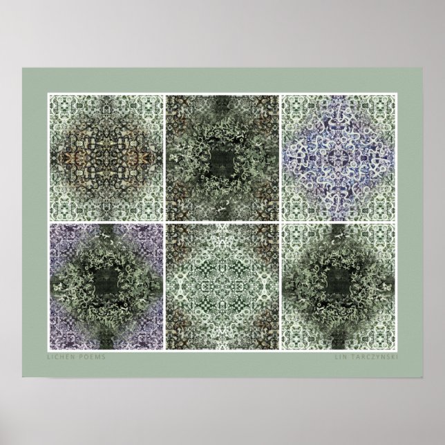 Lichen Poems Poster (Front)
