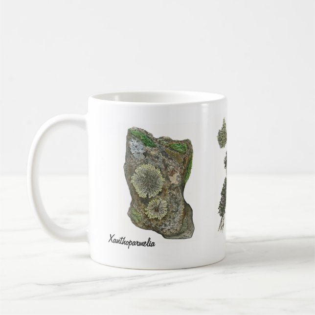 Lichens 2 coffee mug (Left)