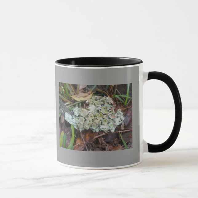 Lichens Mug (Right)