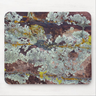 Lichens on Rock #4 Mouse Mat
