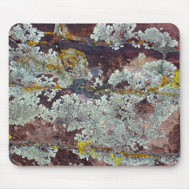 Lichens on Rock #4 Mouse Mat (Front)