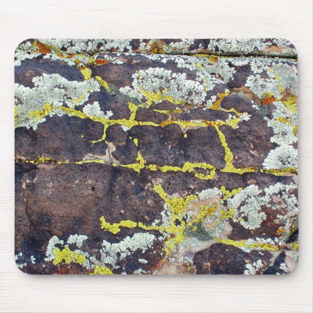 Lichens On Rock No. 3 Mouse Mat (Front)