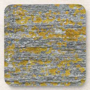 lichens sur pierre de granit coaster