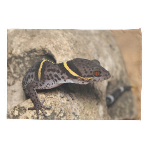 Lichtenfelder's gecko pillowcase