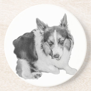 Lick of Approval Coaster