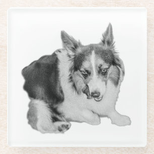 Lick of Approval Glass Coaster