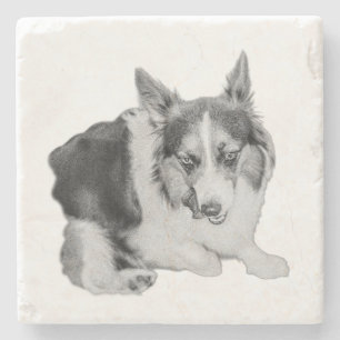 Lick of Approval Stone Coaster
