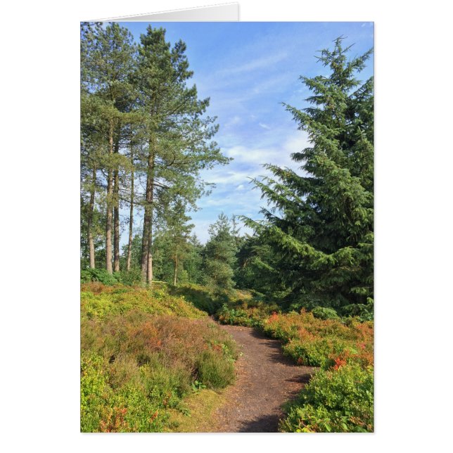 Lickey Hills (Front)