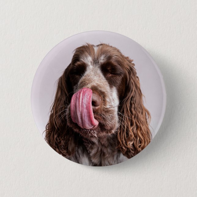 Licking Cocker Spaniel Pin Badge (Front)