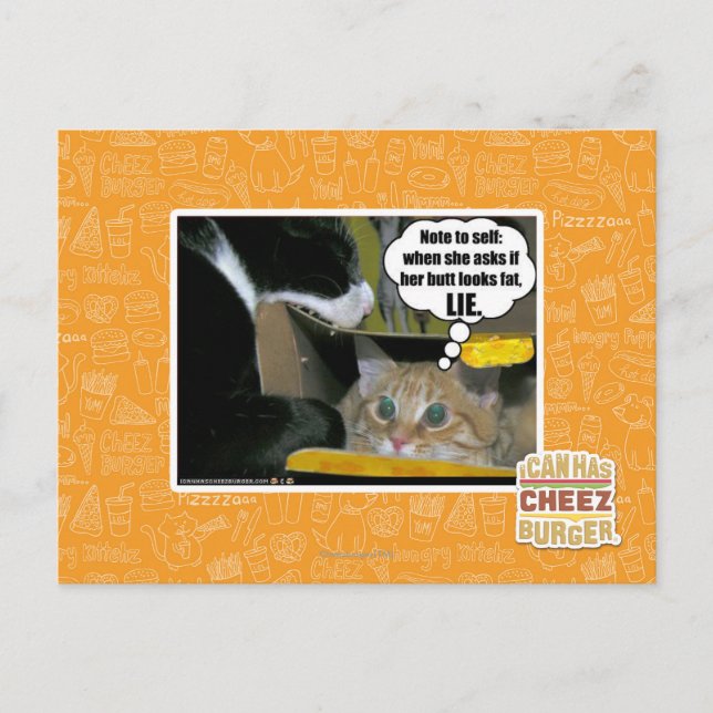 LIE POSTCARD (Front)