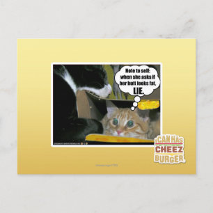 LIE POSTCARD