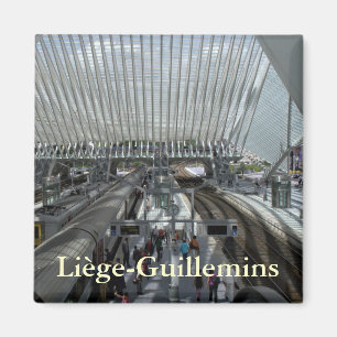 Liège-Guillemins railway station Magnet