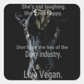 Lies (dairy) Animal Rights design by Marlaina Square Sticker