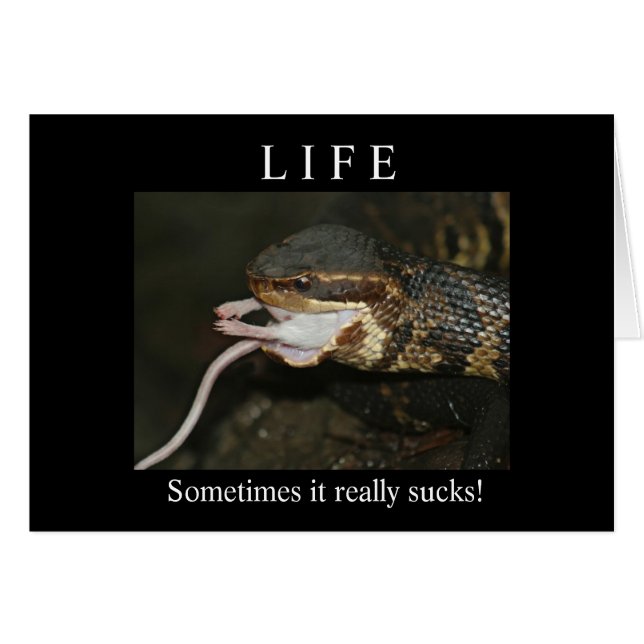 LIFE (Front Horizontal)