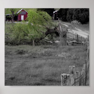 Life after Disaster Poster