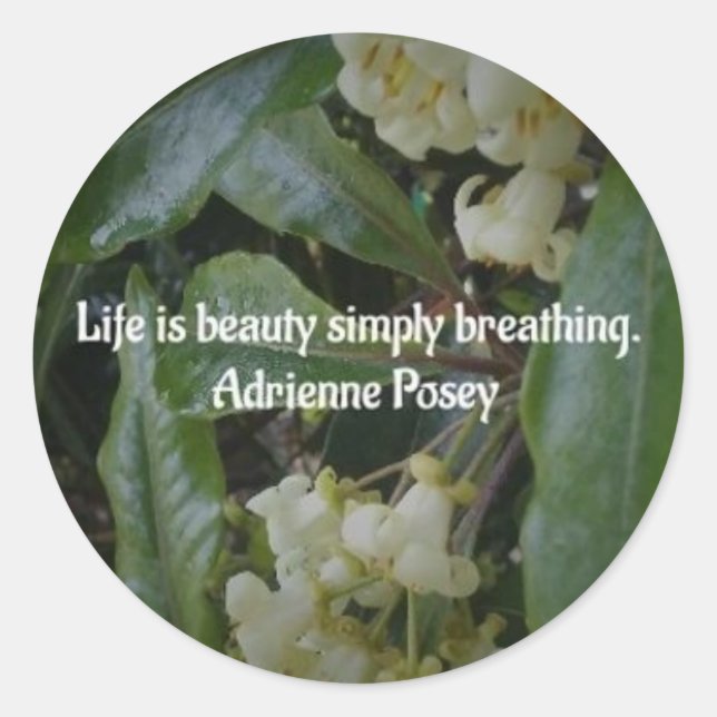 Life Beauty Sticker (Front)